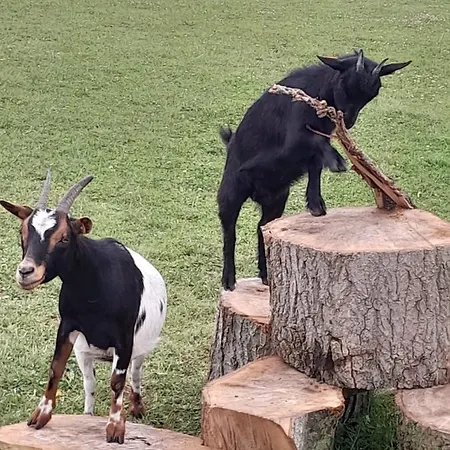 Casa Matteo De Haan Grote Straat 152